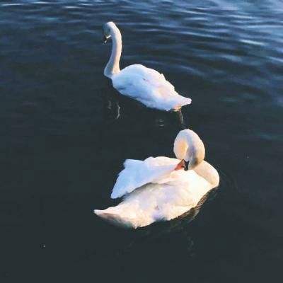 BOB体育APP官方下载