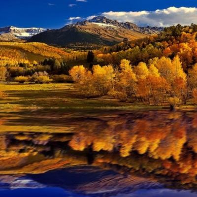 bob体体育app下载