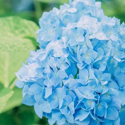 bob体体育app下载截图